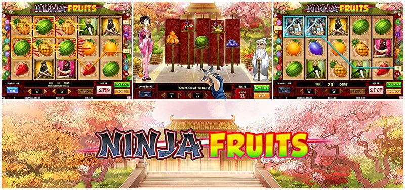 Ninja Fruits Slot no Ninja Casino